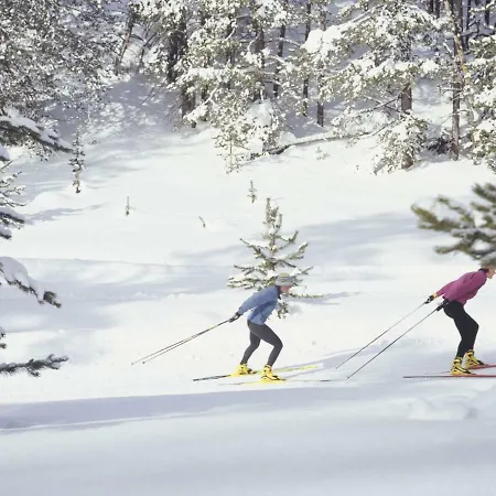 Appartement Le Narcisse, Crest-Voland